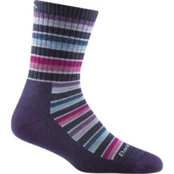 Darn Tough Decade Stripe Micro Crew Midweight Hiking Socks - Women's