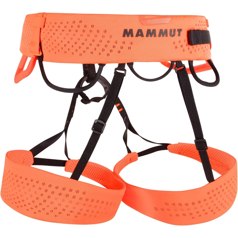 Mammut Sender Harness - Image 2