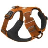 Ruffwear Front Range Harness