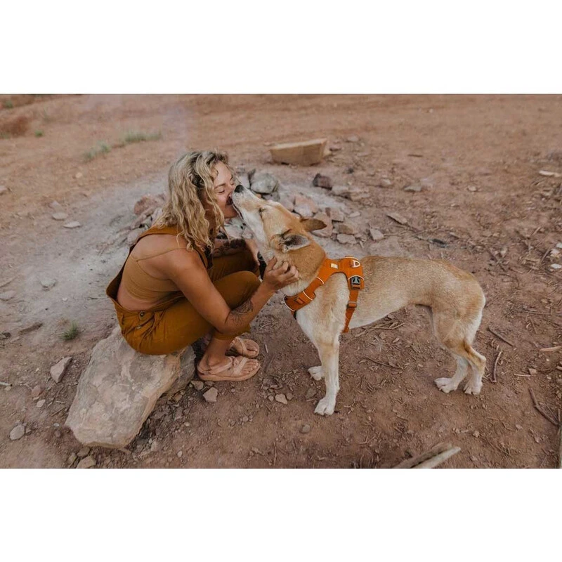 Ruffwear Front Range Harness - Image 10